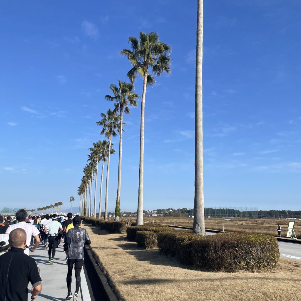 宮崎青島太平洋マラソン